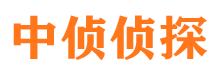 平湖寻人公司